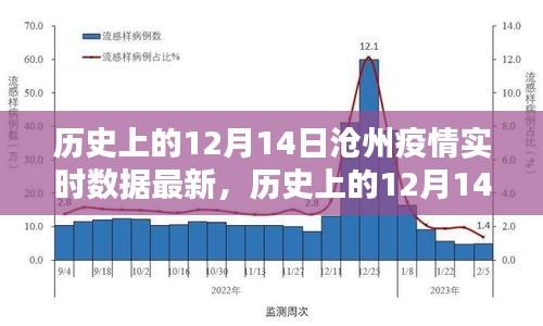 歷史上的12月14日滄州疫情實時數據深度測評與介紹，最新數據與介紹