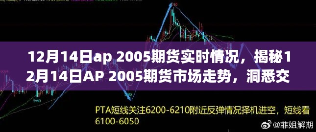 揭秘，AP 2005期貨市場走勢分析——洞悉交易前沿動態(tài)（實時更新）
