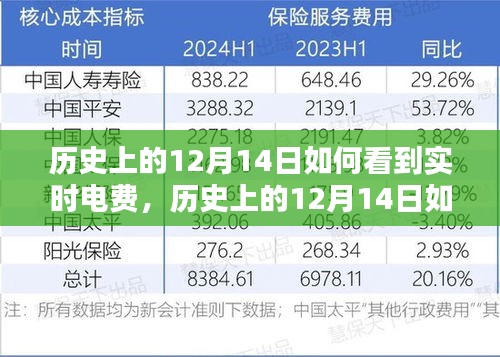 實(shí)用指南，歷史上的12月14日實(shí)時(shí)電費(fèi)查詢(xún)步驟——初學(xué)者與進(jìn)階用戶(hù)必看！