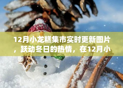 12月小龍糕集市，冬日熱情與學習的無限可能實時更新圖片展示
