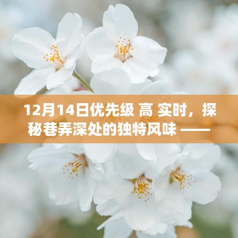 實時高優(yōu)先級探索，巷弄深處的獨特美食秘境之旅。