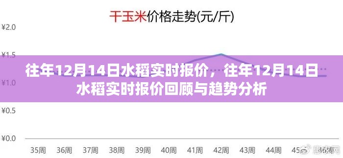 往年12月14日水稻實時報價回顧與趨勢預測