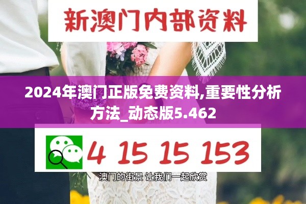 2024年澳門正版免費資料,重要性分析方法_動態版5.462
