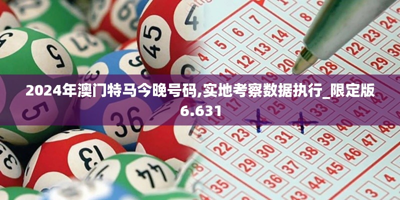 2024年澳門特馬今晚號碼,實地考察數據執行_限定版6.631