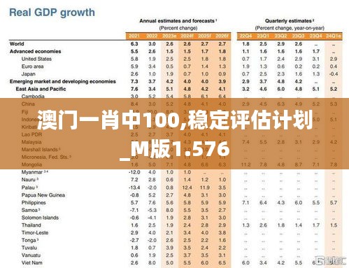 澳門一肖中100,穩定評估計劃_M版1.576
