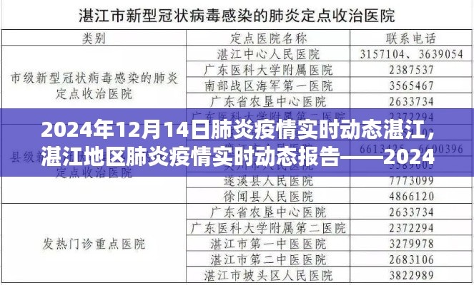 湛江地區(qū)肺炎疫情實時動態(tài)報告，深度解析至2024年12月14日