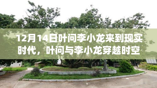 葉問(wèn)與李小龍穿越時(shí)空，探尋現(xiàn)代都市隱藏瑰寶，現(xiàn)實(shí)時(shí)代的奇遇
