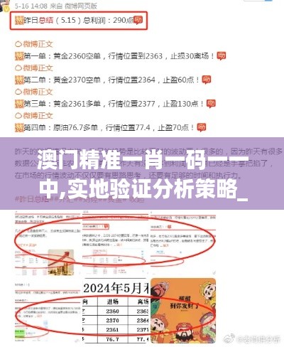 澳門精準一肖一碼一一中,實地驗證分析策略_YE版2.458