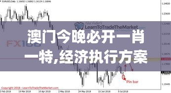 澳門今晚必開一肖一特,經濟執行方案分析_X版5.889