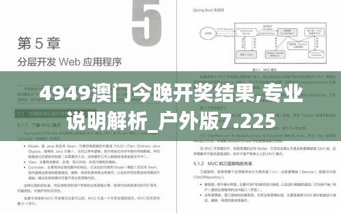 4949澳門今晚開獎結果,專業說明解析_戶外版7.225