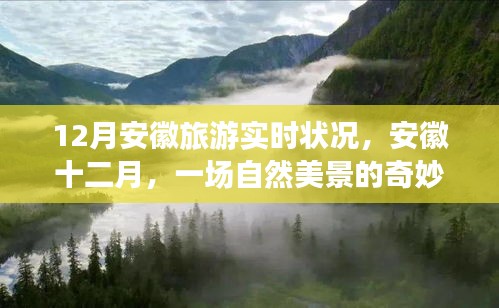 安徽十二月旅游實時狀況，自然美景之旅，探尋內心的平和與寧靜