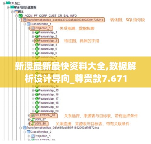 新澳最新最快資料大全,數(shù)據(jù)解析設計導向_尊貴款7.671
