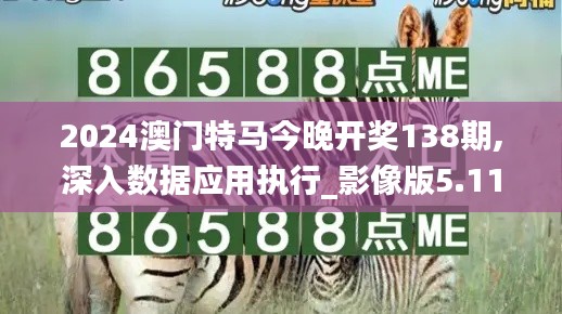 2024澳門特馬今晚開獎138期,深入數據應用執行_影像版5.112