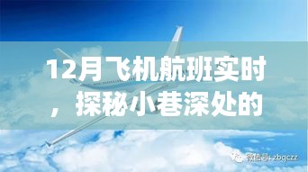 探秘隱藏版航班實時查詢小店，揭秘十二月航班情報與小巷深處的奇妙之旅