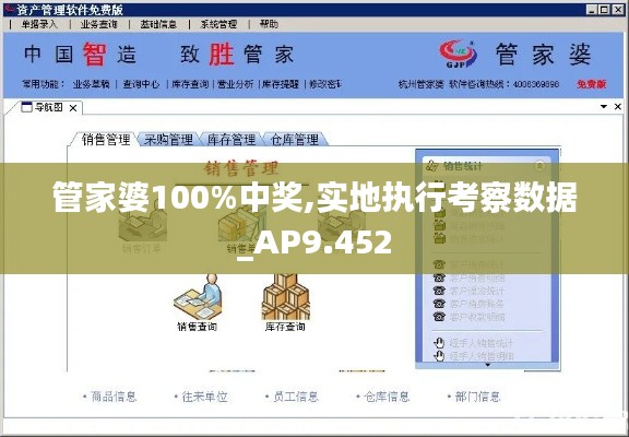 管家婆100%中獎,實地執行考察數據_AP9.452