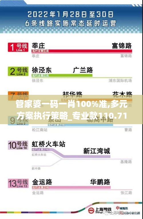 管家婆一碼一肖100%準,多元方案執行策略_專業款110.719