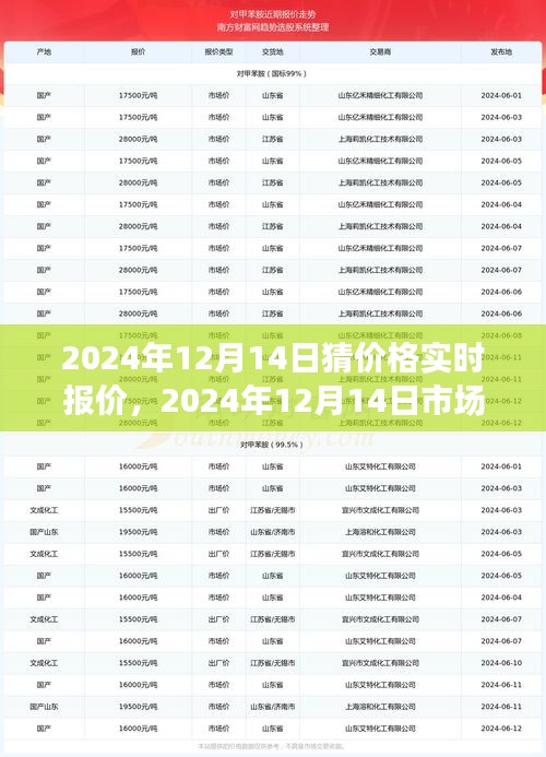 深度解析，2024年12月14日市場實時報價預測與價格走勢影響