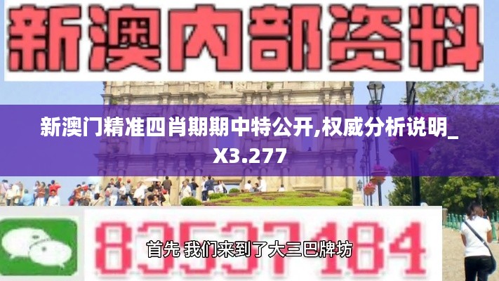 新澳門精準四肖期期中特公開,權威分析說明_X3.277
