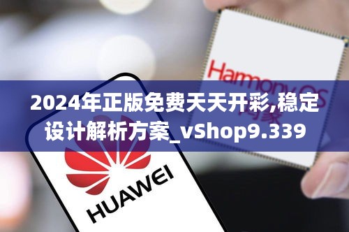2024年正版免費天天開彩,穩定設計解析方案_vShop9.339