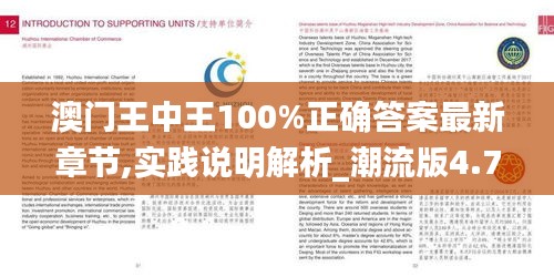 澳門王中王100%正確答案最新章節(jié),實(shí)踐說明解析_潮流版4.791