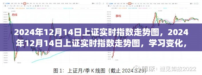 2024年12月14日上證實時指數走勢圖，學習變化，開啟自信與成就之旅