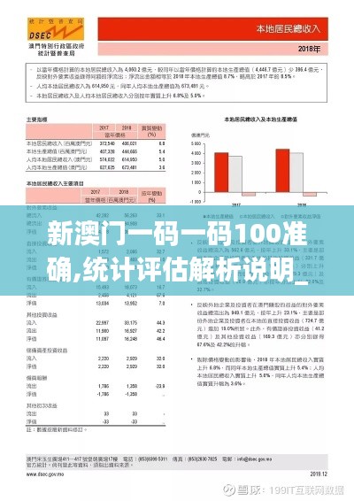 新澳門一碼一碼100準確,統計評估解析說明_2DM3.845