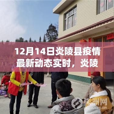 炎陵縣疫情最新動態與日常故事，溫情陪伴下的抗疫之路
