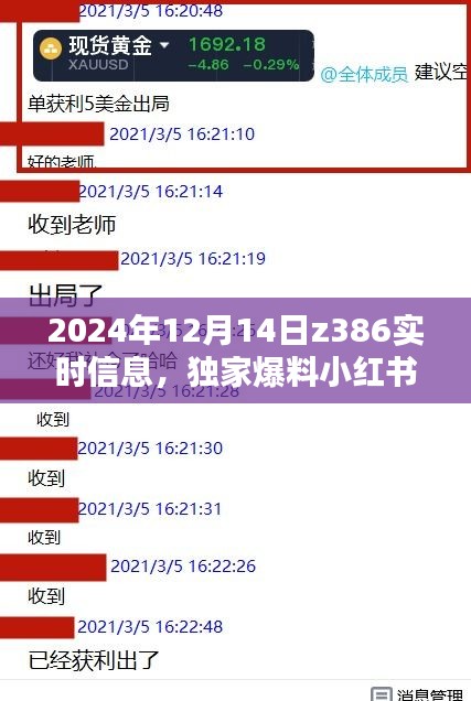 獨家爆料，小紅書帶你直擊Z386列車實時信息全解析（2024年12月14日版）