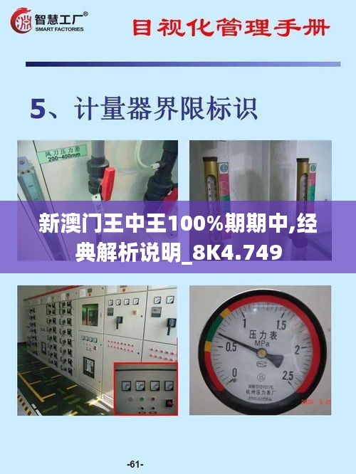 新澳門王中王100%期期中,經典解析說明_8K4.749