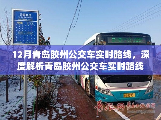 青島膠州公交車實時路線詳解，服務特性、體驗與競品對比