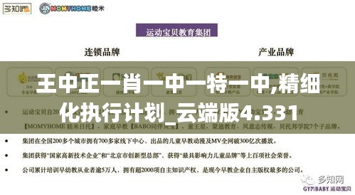 王中正一肖一中一特一中,精細(xì)化執(zhí)行計劃_云端版4.331
