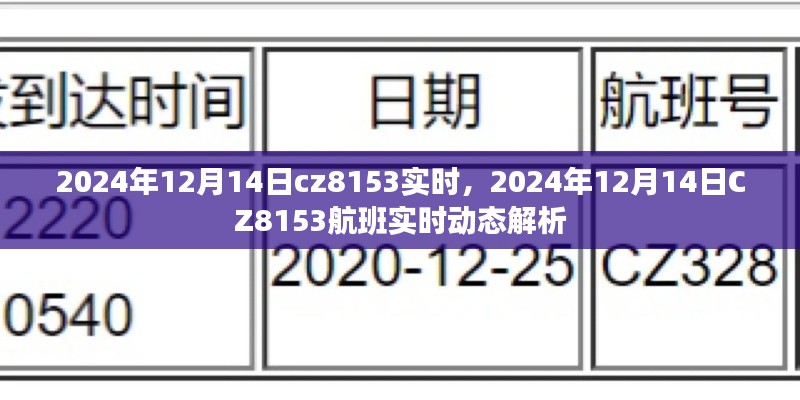 獨家解析，CZ8153航班在2024年12月14日的實時動態