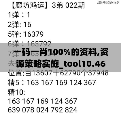 一碼一肖100%的資料,資源策略實施_tool10.464