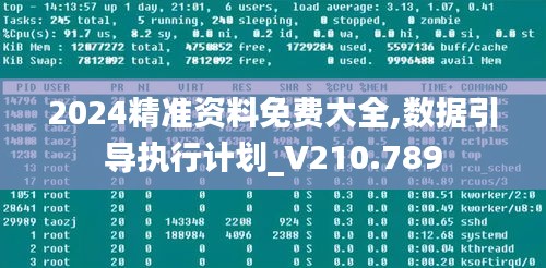 2024精準(zhǔn)資料免費大全,數(shù)據(jù)引導(dǎo)執(zhí)行計劃_V210.789