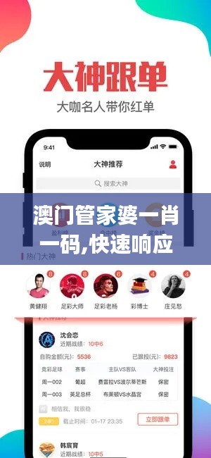 澳門管家婆一肖一碼,快速響應執行方案_Q7.903