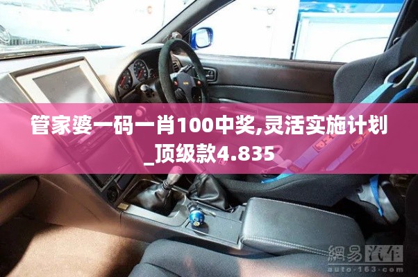 管家婆一碼一肖100中獎,靈活實施計劃_頂級款4.835