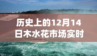 穿越時空的繁華，木水花市場12月14日的歷史實錄