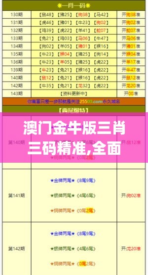 澳門金牛版三肖三碼精準,全面理解執行計劃_領航款6.766