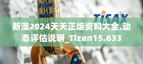 新澳2024天天正版資料大全,動(dòng)態(tài)評(píng)估說(shuō)明_Tizen15.633