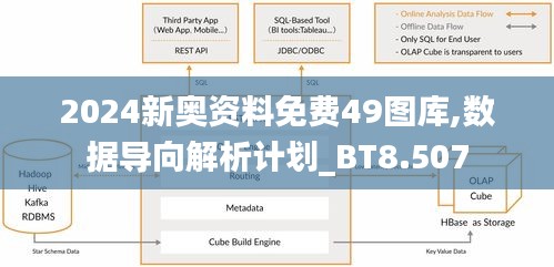 2024新奧資料免費49圖庫,數據導向解析計劃_BT8.507