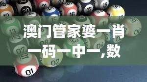 澳門管家婆一肖一碼一中一,數據支持計劃解析_蘋果2.296