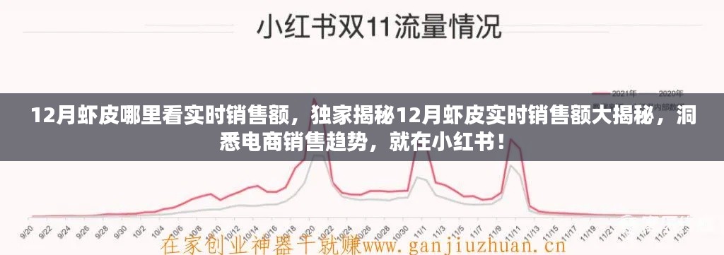 獨(dú)家揭秘，小紅書上蝦皮12月實(shí)時(shí)銷售額洞悉電商銷售趨勢(shì)