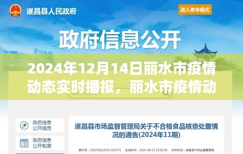 麗水市疫情動態實時播報，聚焦2024年12月14日數據更新