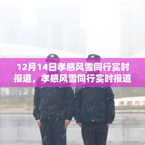 孝感風(fēng)雪中的社會關(guān)懷與個人責(zé)任，實(shí)時報道下的共同前行