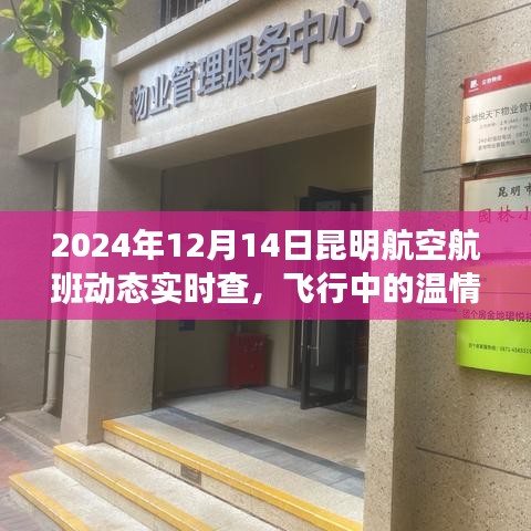 昆明航空航班動(dòng)態(tài)實(shí)時(shí)查，飛行中的溫情紐帶與愛的陪伴之旅