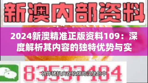 2024新澳精準正版資料109：深度解析其內容的獨特優勢與實用價值