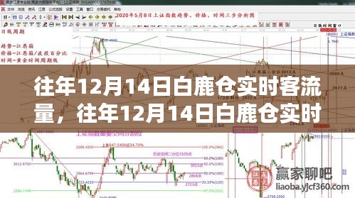白鹿倉歷年12月14日實(shí)時(shí)客流量深度分析與探討，觀點(diǎn)闡述與探討新視角