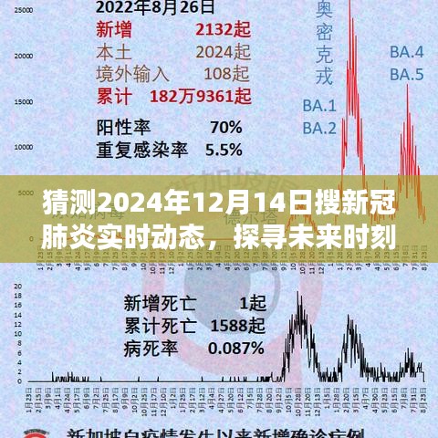 關于未來時刻的新冠肺炎實時動態，探尋與猜測至2024年12月14日的全面介紹