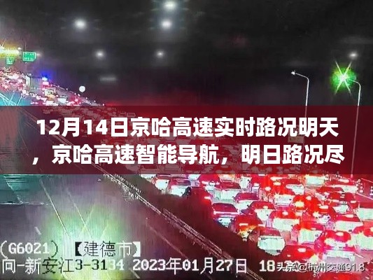 落落大方 第3頁