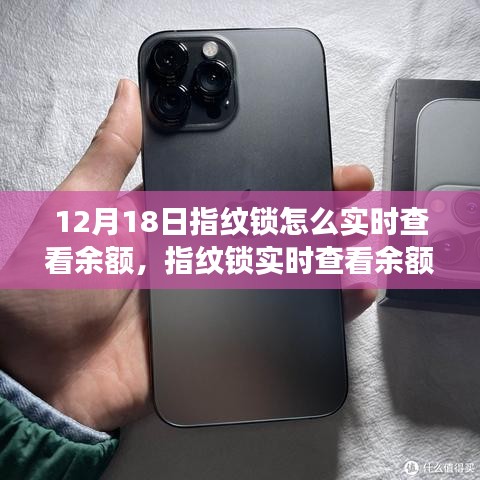 指紋鎖余額實時查看功能，操作便利與隱私安全的平衡之道（12月18日指南）
